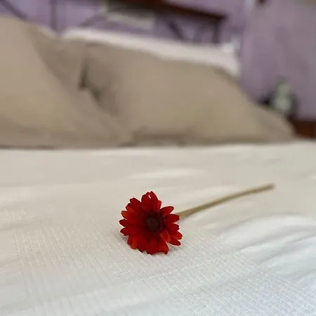 Attico Centro アパート *